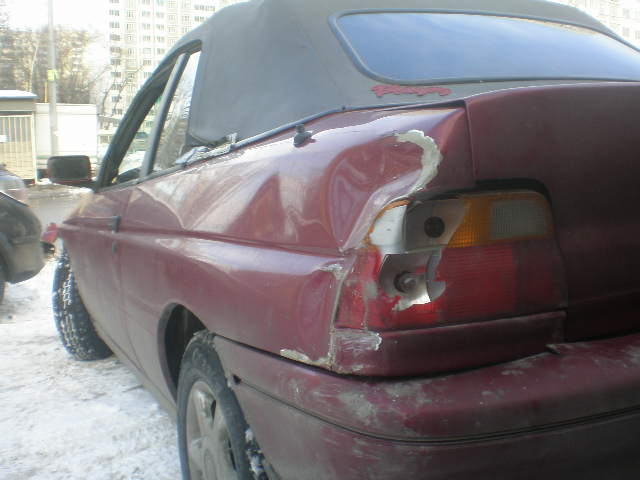 P2040584.JPG