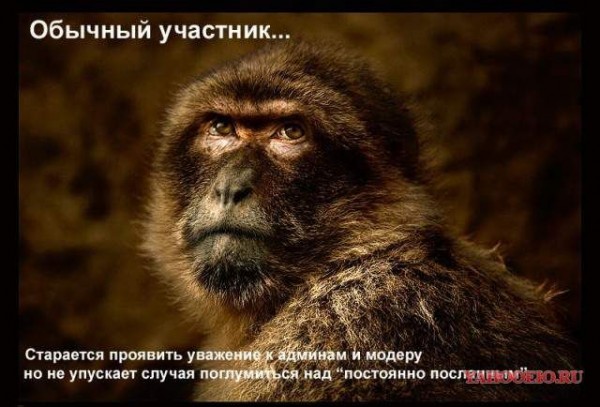 95845_93847.jpg