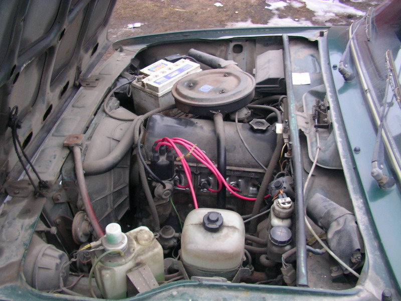 SANY1577_800x600.JPG