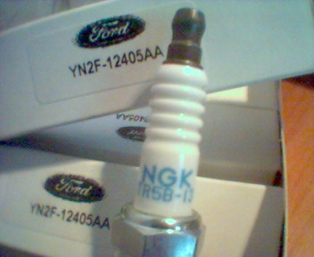060105_131057.jpg
