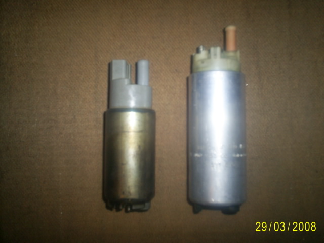 S4024037.JPG