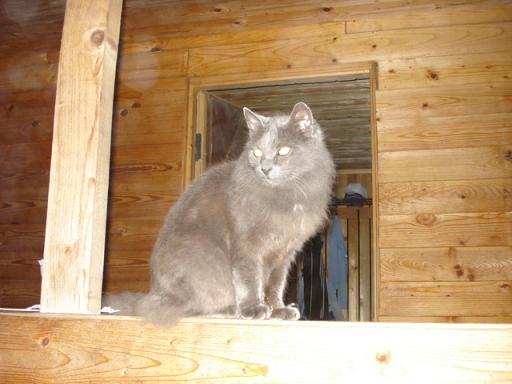 DSC00236.JPG