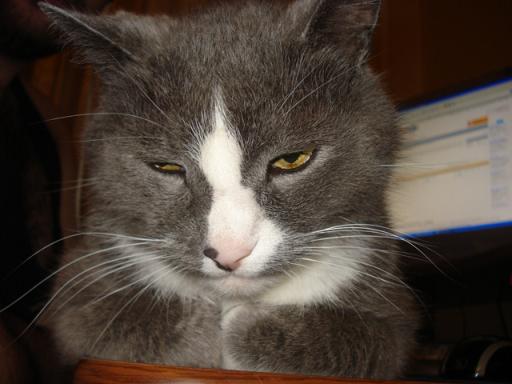 DSC00578.JPG