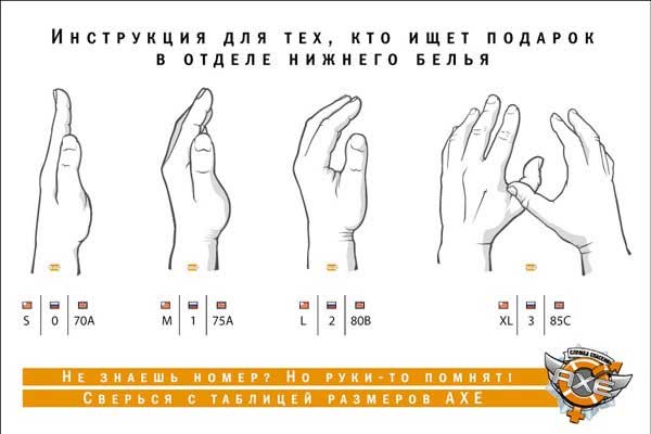 dhit32.jpg