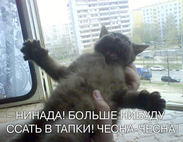 1208954934_0015qbea.jpg