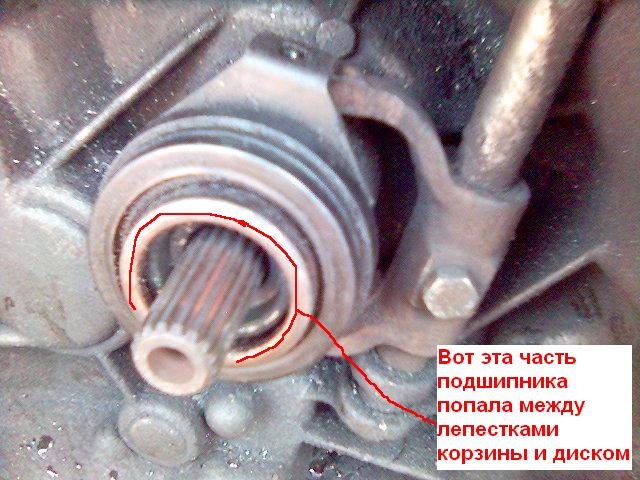 Picture(19).jpg
