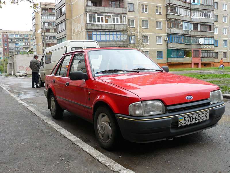 P10100751.jpg