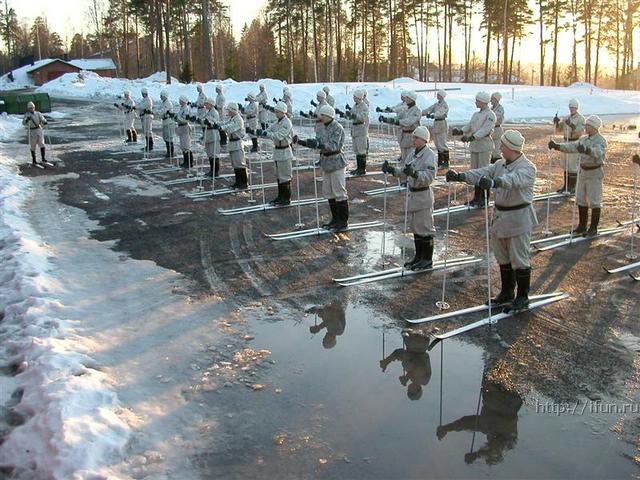 лыжники.JPG