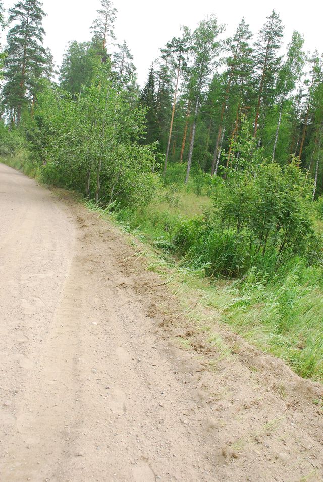 DSC_0862.jpg
