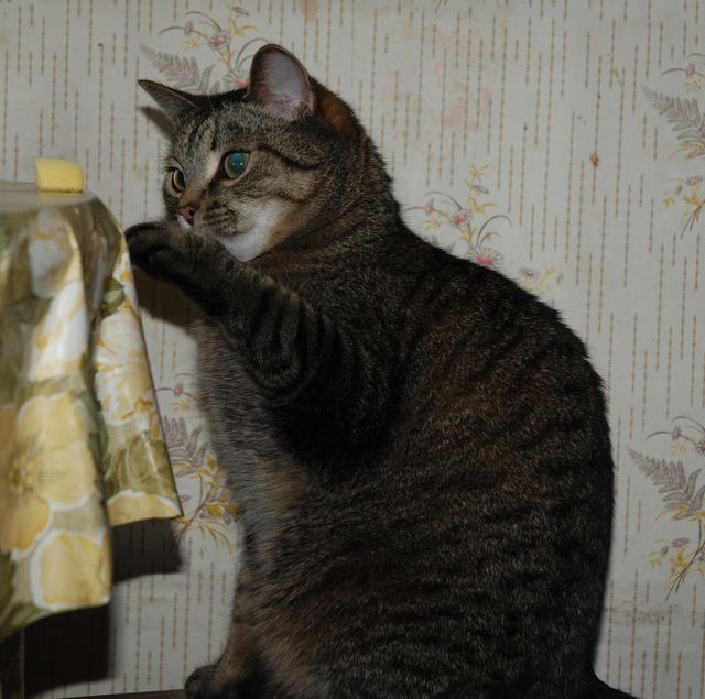 DSC_0612.jpg