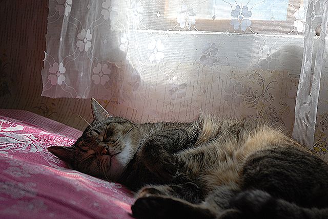 DSC_0617.jpg