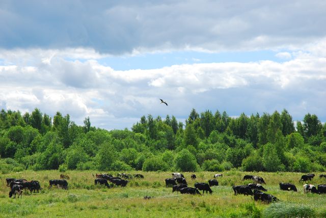 DSC_0647.jpg