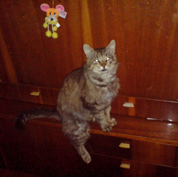 DSC00002.JPG