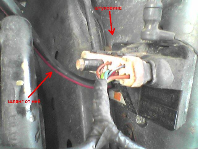 Foto 1499a.JPG