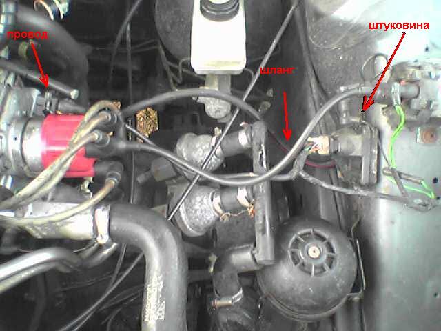 Foto 1498a.JPG