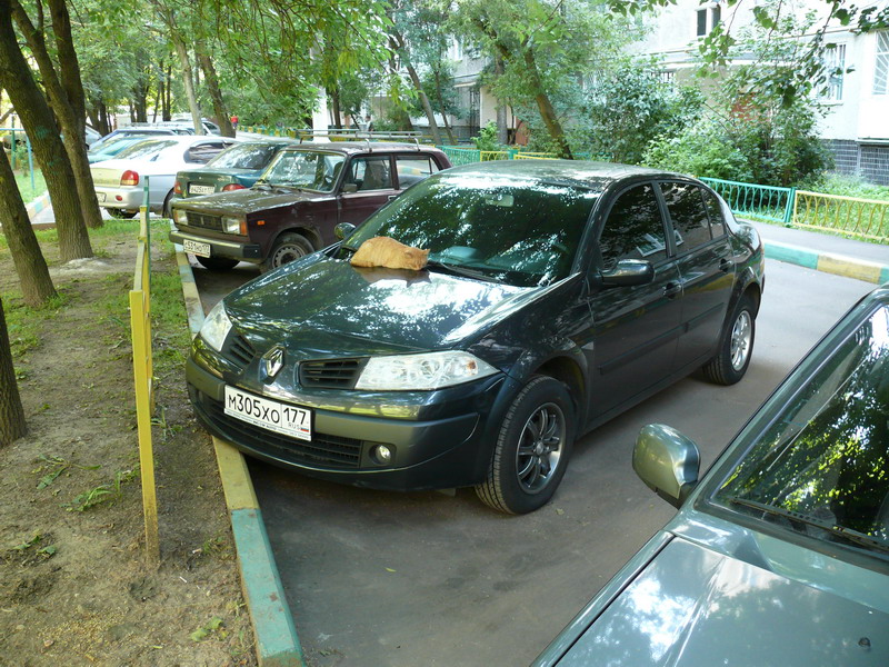 P1010483_800x600.jpg