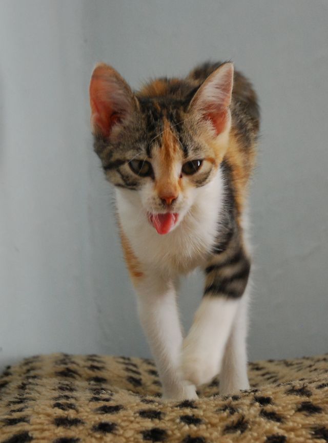 DSC_1691.jpg