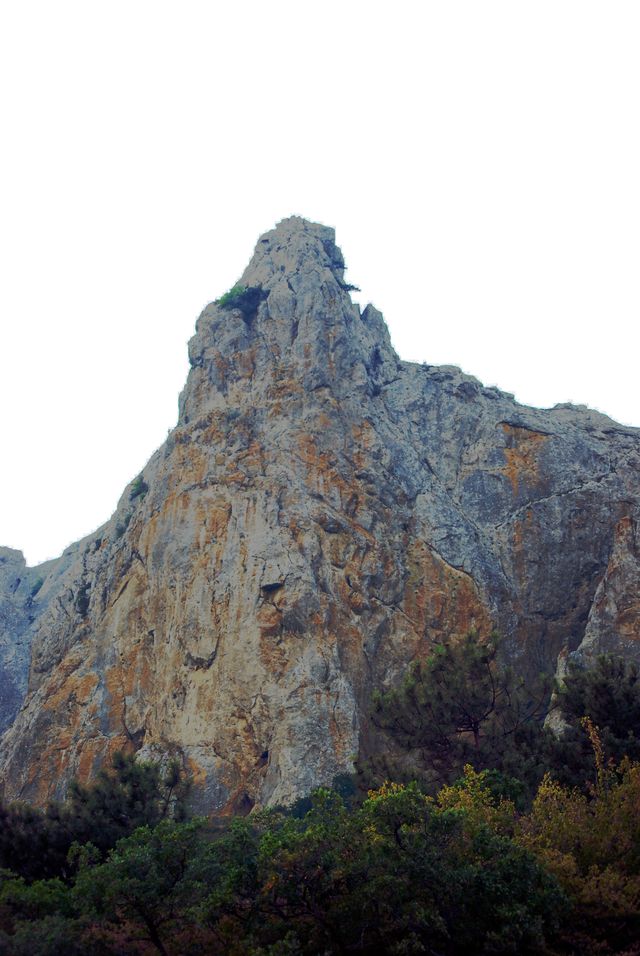 DSC_1815.jpg