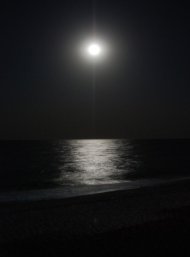 DSC_1849.jpg