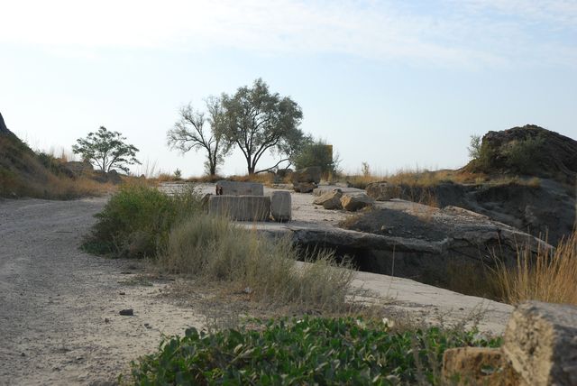 DSC_1957.jpg