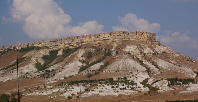 DSC_5384.jpg