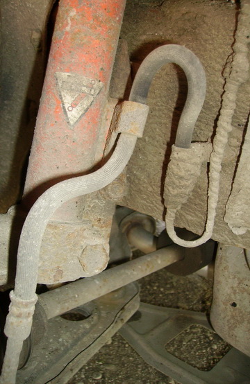 IMGP0954.jpg