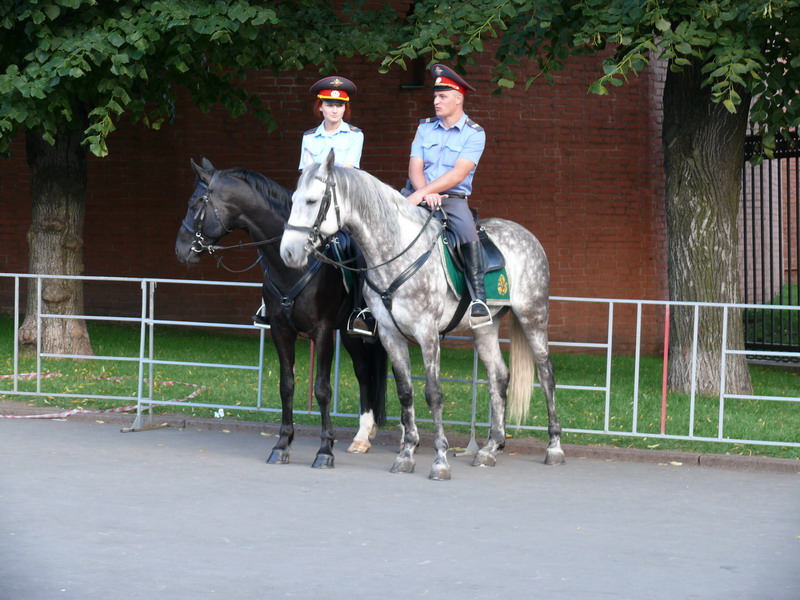P1010447_800x600.jpg