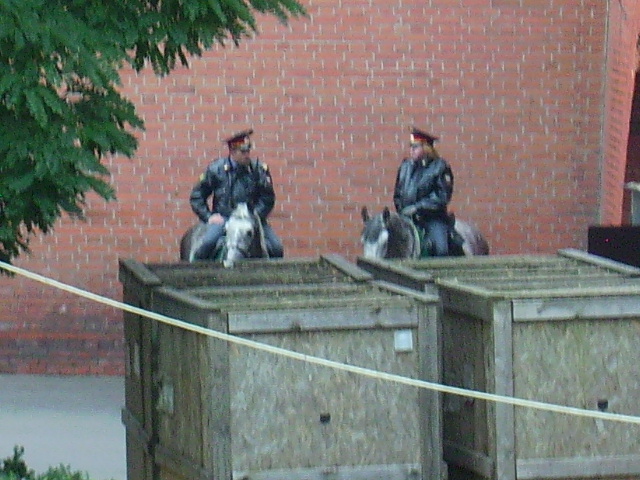 PICT0010.JPG