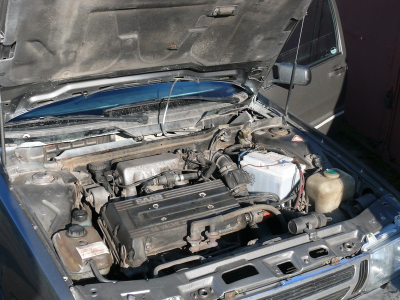 P1030617_800x600.jpg