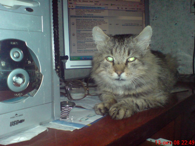DSC00008-N.JPG