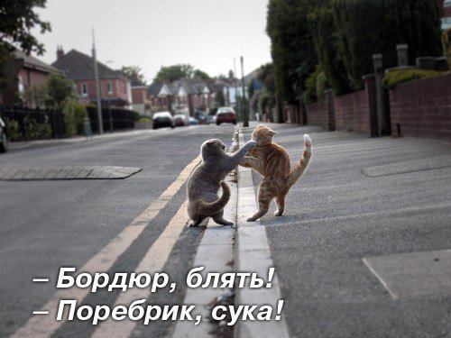 бордюрбля.jpg
