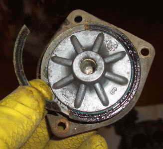 CIMG3882.JPG