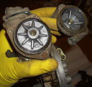 CIMG3878.JPG