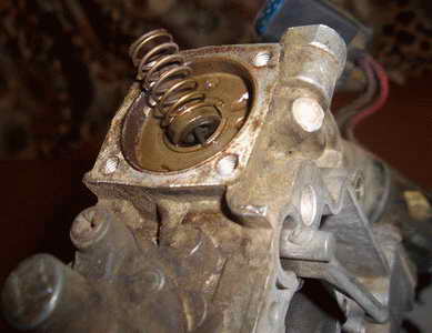 CIMG3870.JPG