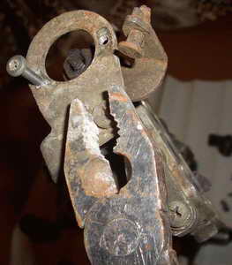 CIMG3894.JPG