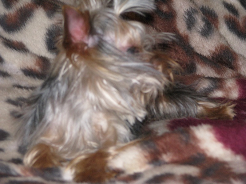 IMG_1572_v1.jpg