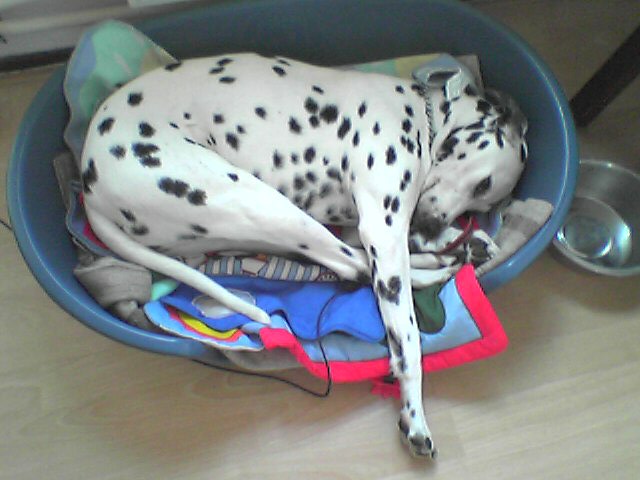 Foto 1439.jpg