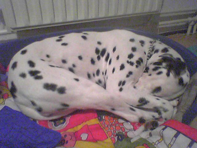 Foto 1435.jpg