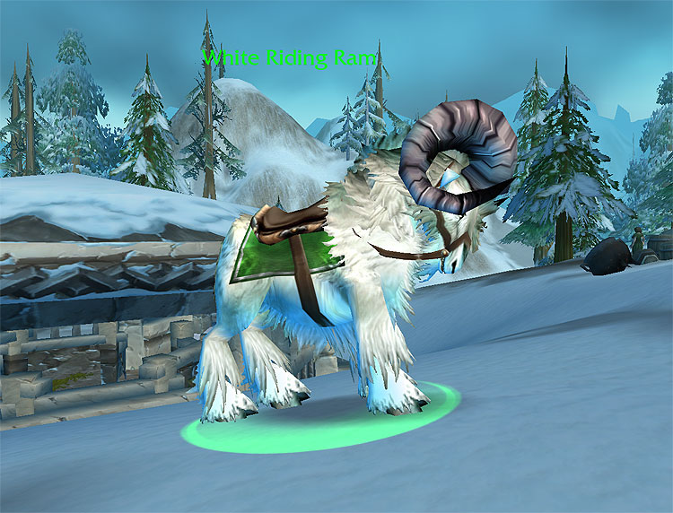 White Riding.jpg