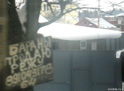 barany.jpg