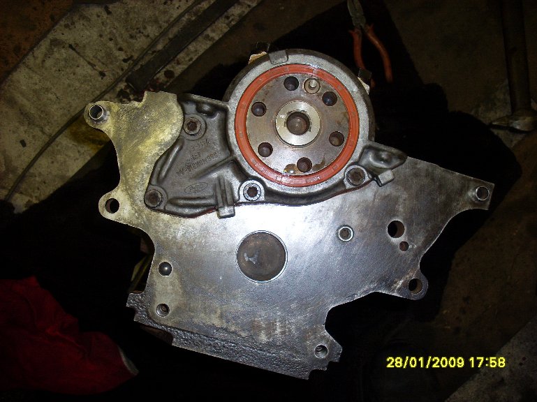 SL382482у.JPG
