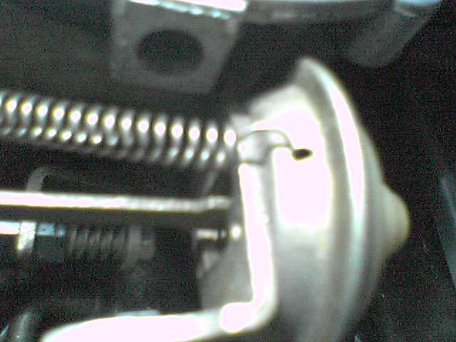 Foto 1650.jpg