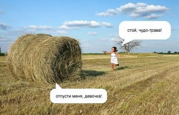chudo-trava-i-devochka_1.jpg