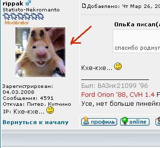 rippak2_606.jpg