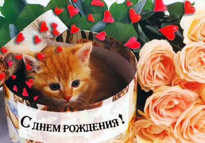 дню.jpg