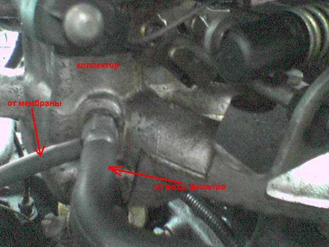 Foto 1691а.JPG