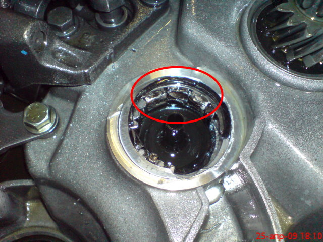 DSC00018a.JPG