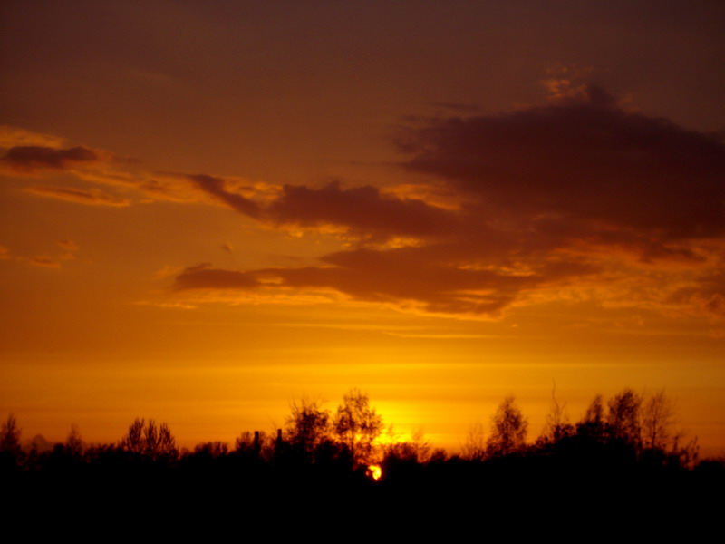 IMGP3323_resize.JPG