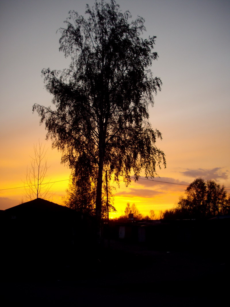 IMGP3328_resize.jpg