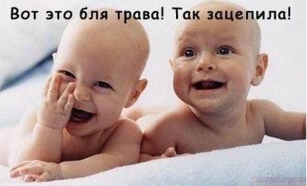трава.jpg